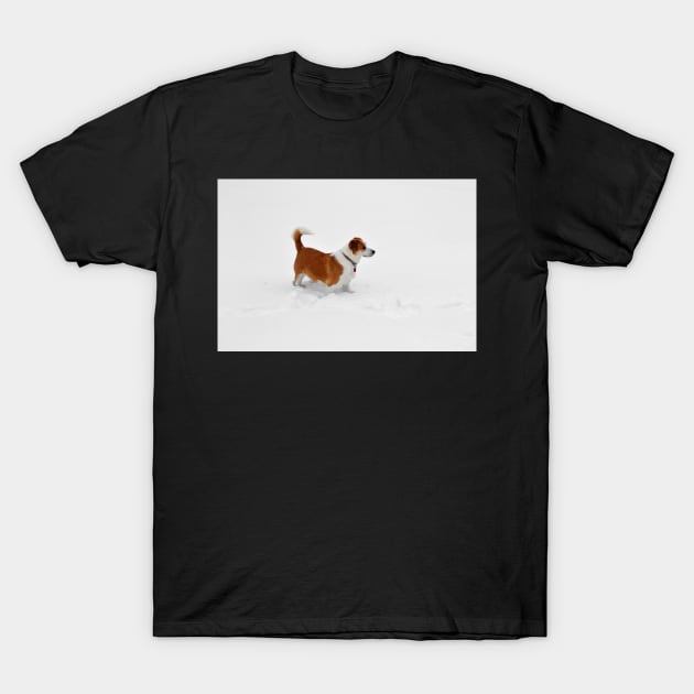 Interrupting the Winter Whiteness T-Shirt by bgaynor